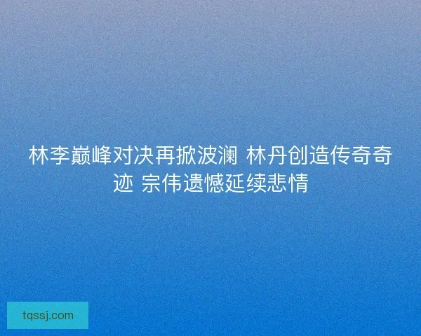 林李巅峰对决再掀波澜 林丹创造传奇奇迹 宗伟遗憾延续悲情